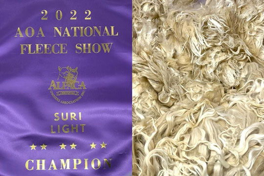 2POINTFARM's Overture by Tempo