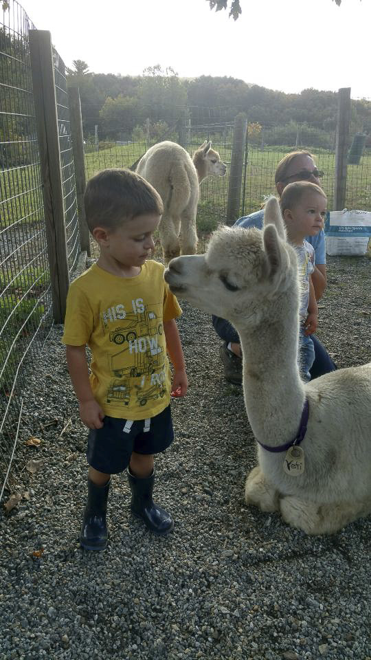 A kiss? We just met!