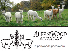 Alpenwood Alpacas Logo