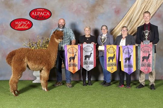 AMAF Queen Elizabeth