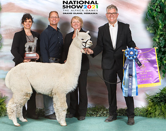 AMBER AUTUMN Elegant Legend