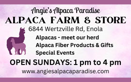 Angie's Alpaca Paradise Logo