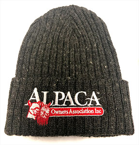 AOA Charcoal Beanie