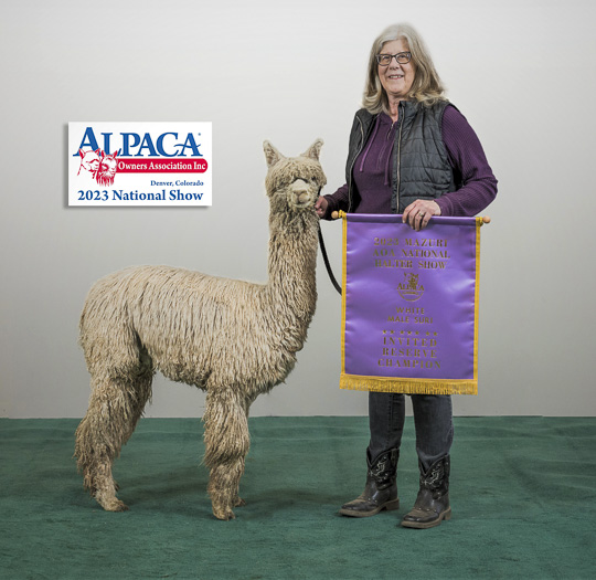 BIG TIMBER JOSEF'S SIMEON