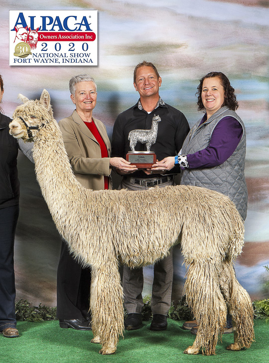 BIG TIMBER TAHITI'S FYRE DANCER