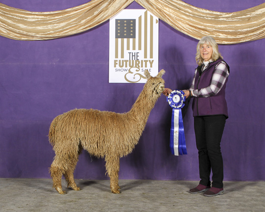 BIG TIMBER's GOLDEN GIRL