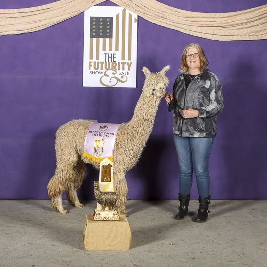 BIG TIMBER's RIPROAR