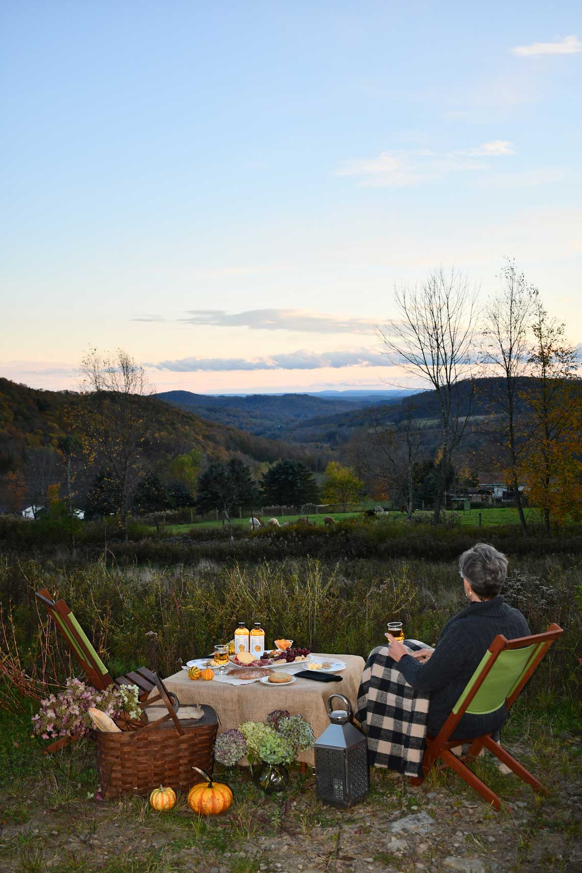 Visit our peaceful airbnb at Buck Brook Alpacas