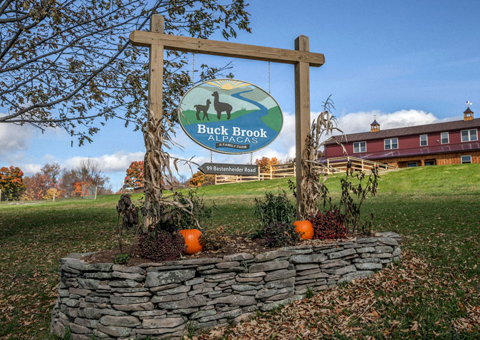 Buck Brook Alpacas