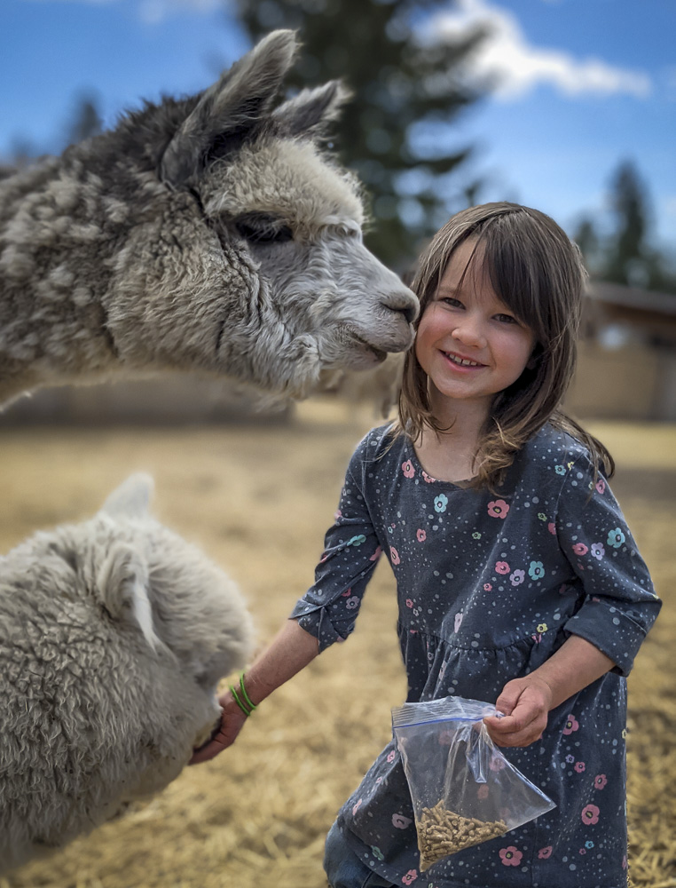 Alpacas are a girls best friend!