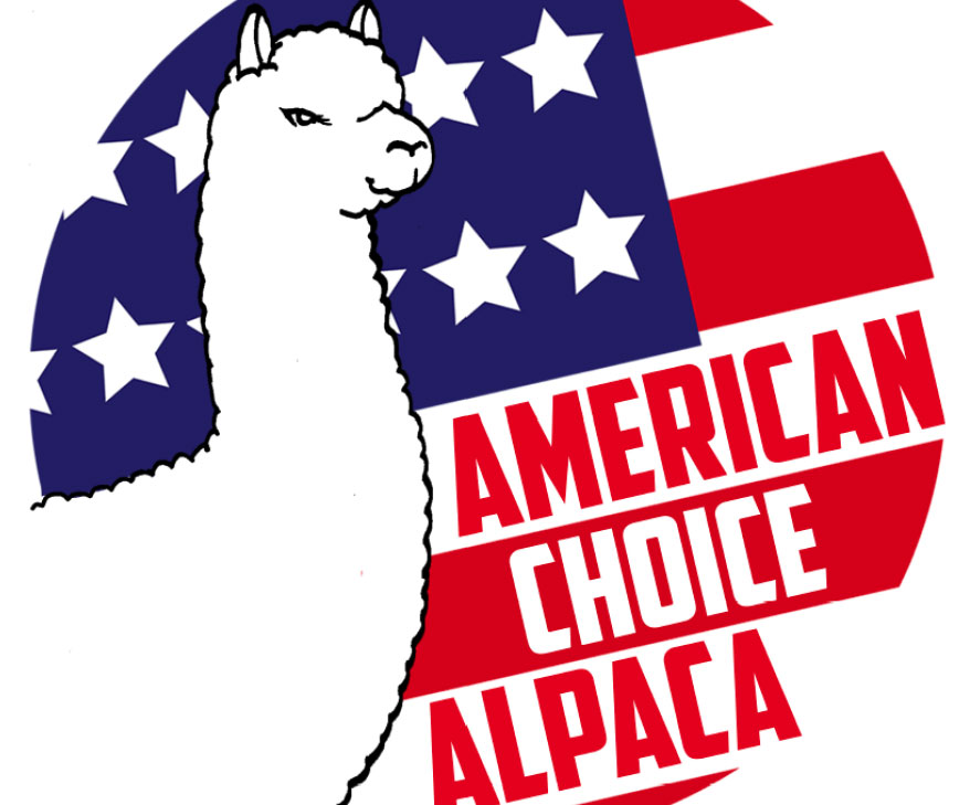 Many made in America items