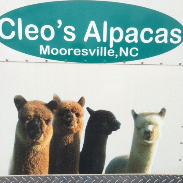Cleo's Alpacas LLC