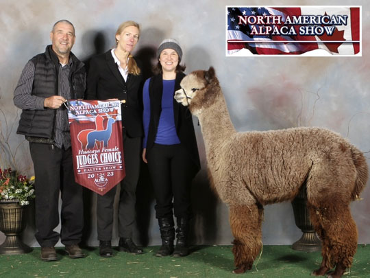 CNTRL Tristan's Ivy Rose