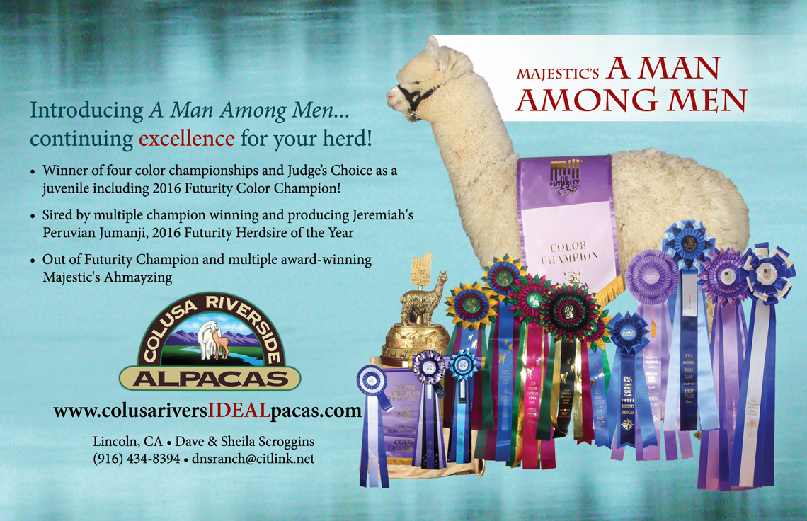 Majestic's A Man Among Men Breedings and Breeding Stock Available for sale.