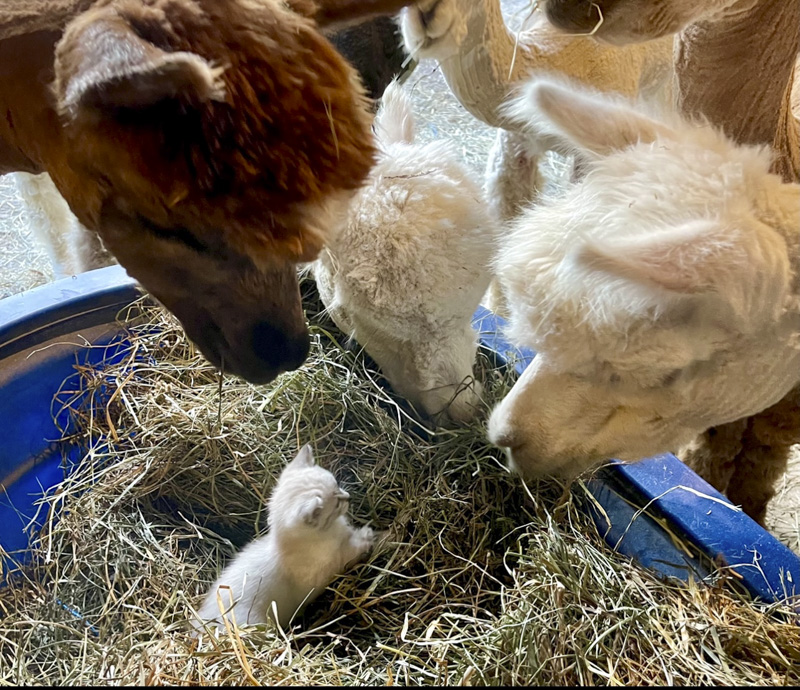 Well hello there.....