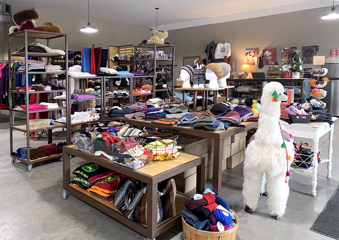 Alpaca Store Interior