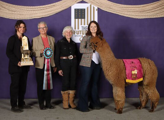 CRESCENT MOON's Gertrude