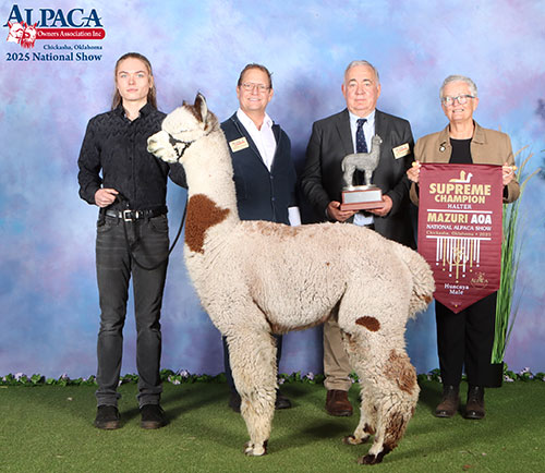 Dancing Elk's Alystaire by Alydar