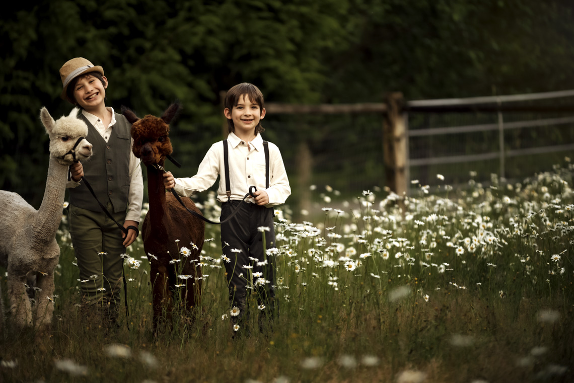 Joyful Companions: Two young friends share a magical moment with their alpacas, showcasing the special bond between children and animals in a serene meadow.