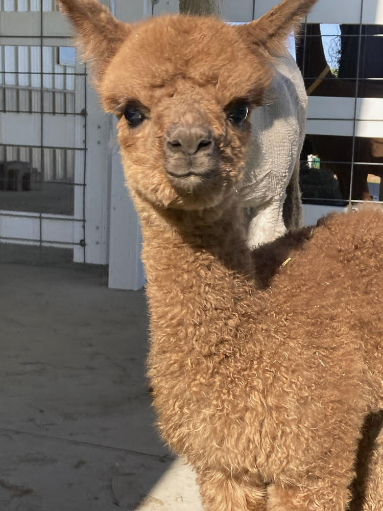 Here's looking at you