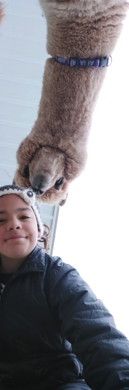 My Alpaca Loves My Alpaca Hat!