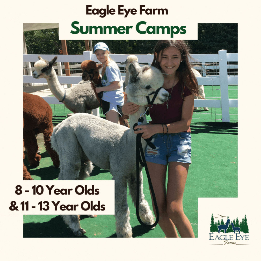 Farm Camps - Offered during the summer, spring break, and winter break.