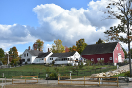 Elf Paca Meadows Logo