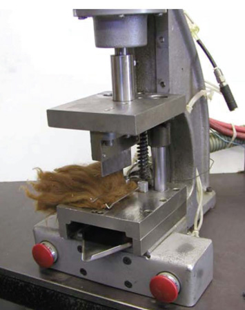 Fiber sample positioned in the die cutter