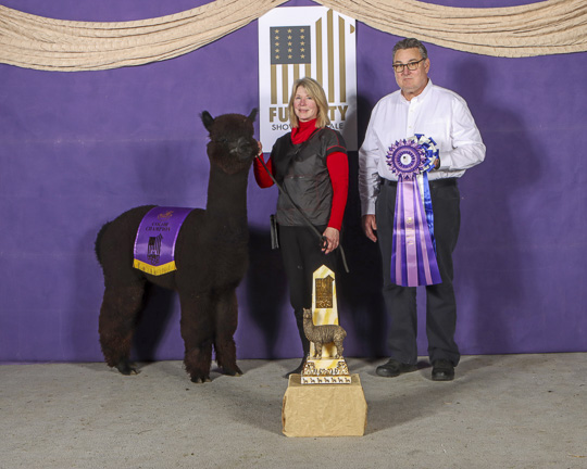 FIR Diamante's Jetson