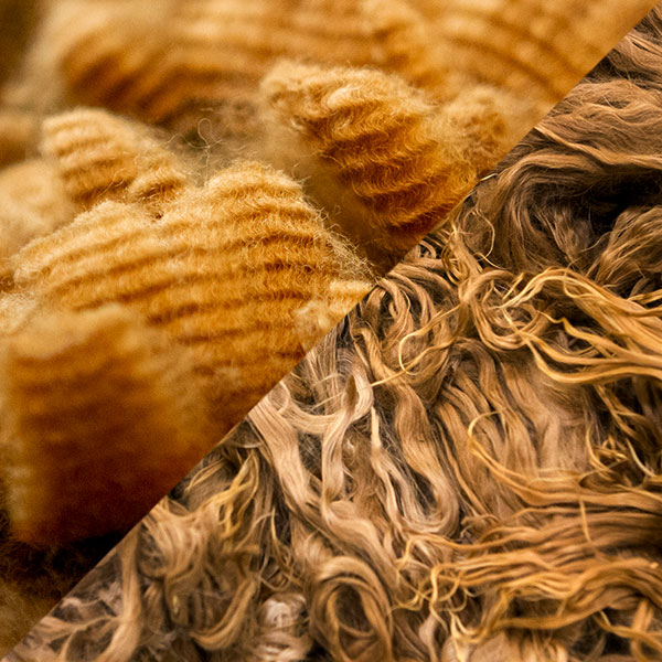 National Alpaca Fiber Month this July