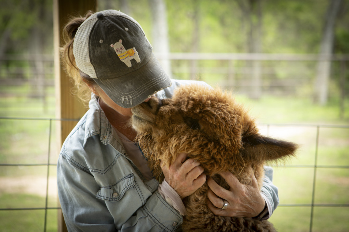 Alpaca LOVE