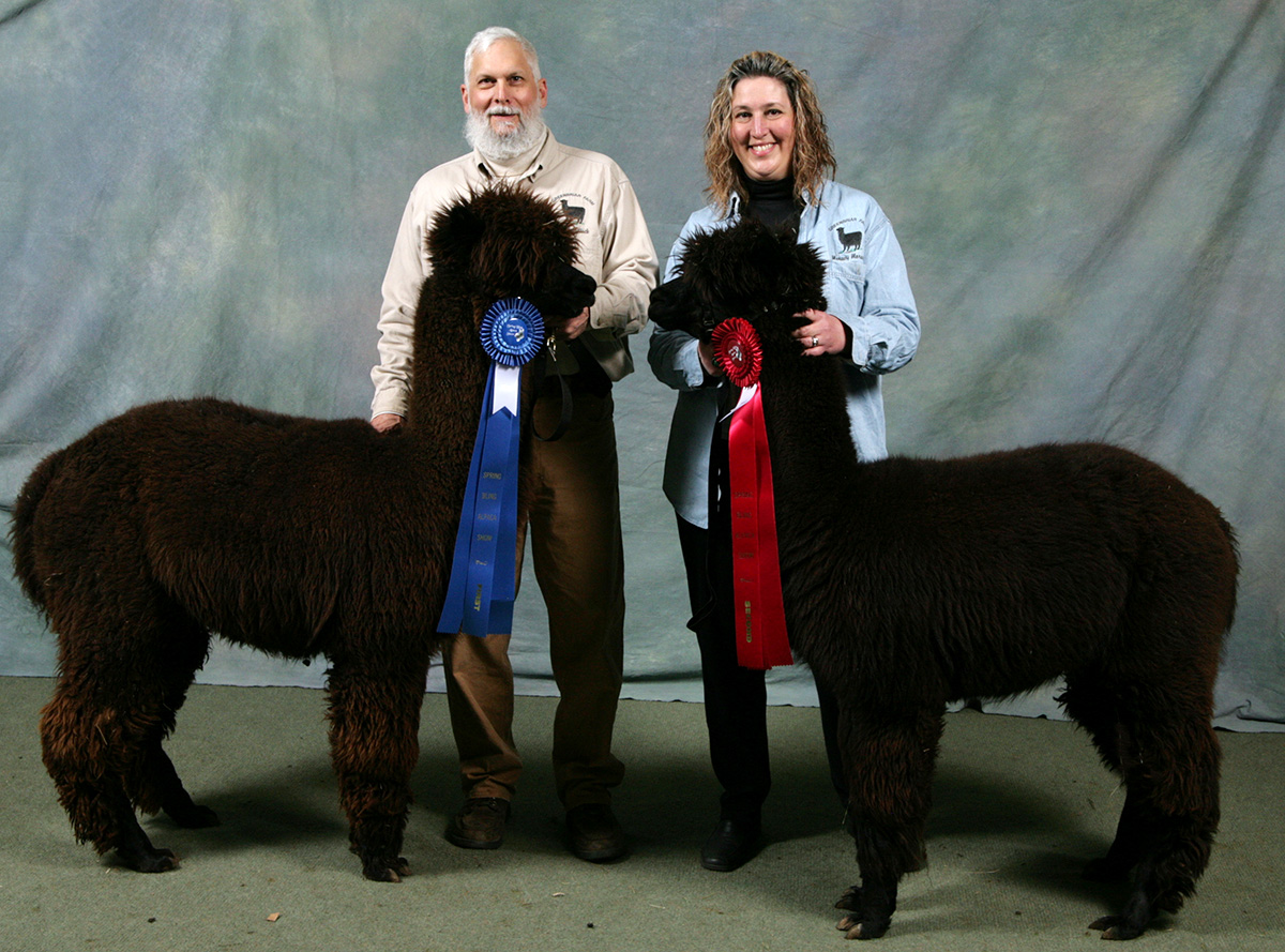 Greenbriar Farm Alpacas — MAM Consulting Associates, Inc.