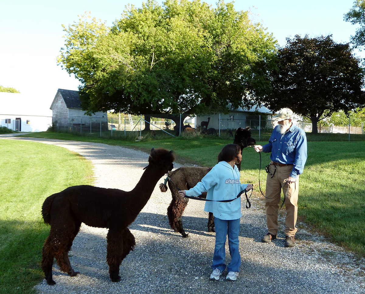 Greenbriar Farm Alpacas