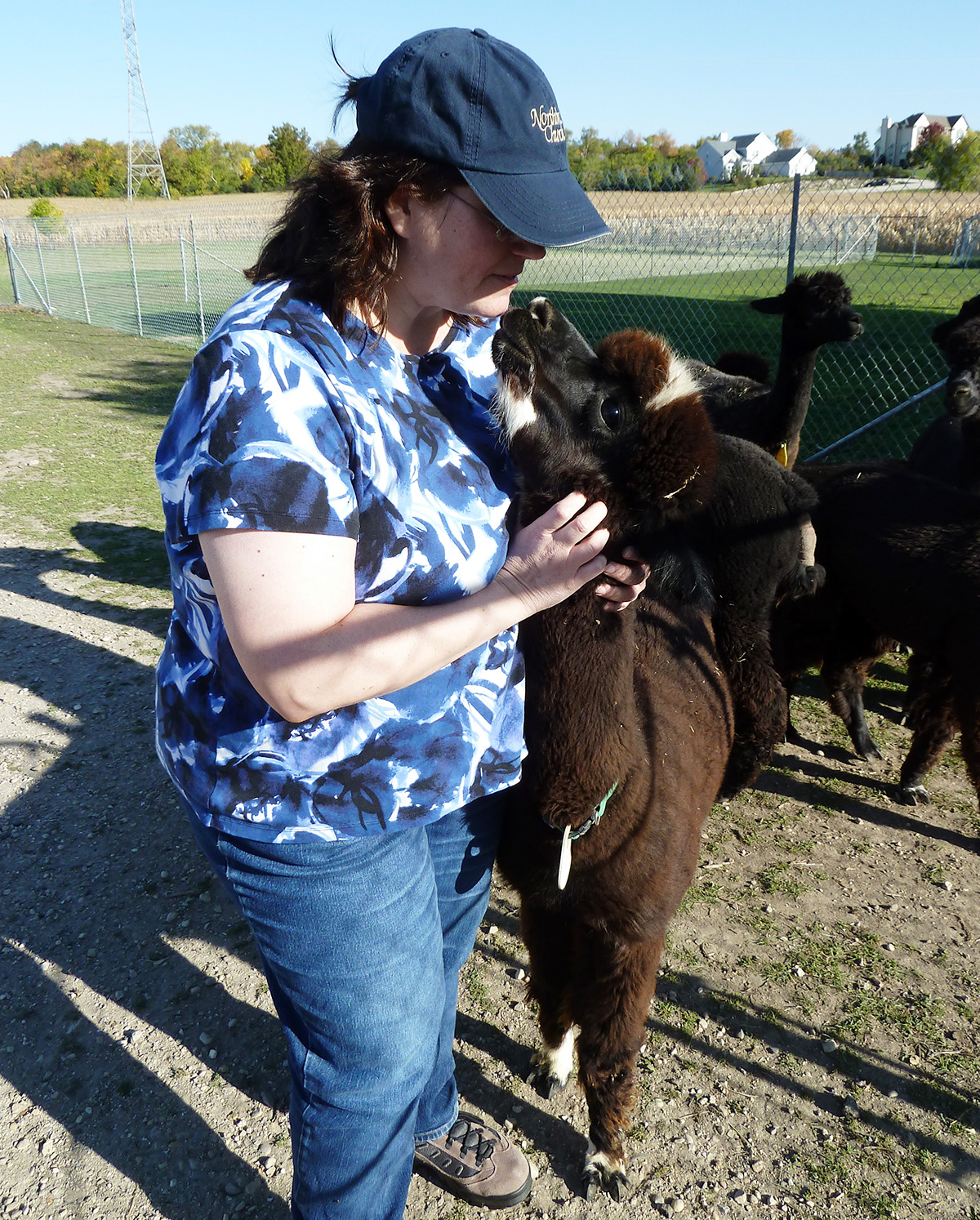 Greenbriar Farm Alpacas