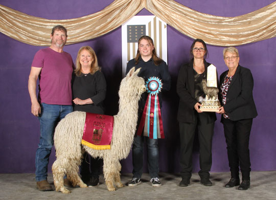 H & S Double Portion