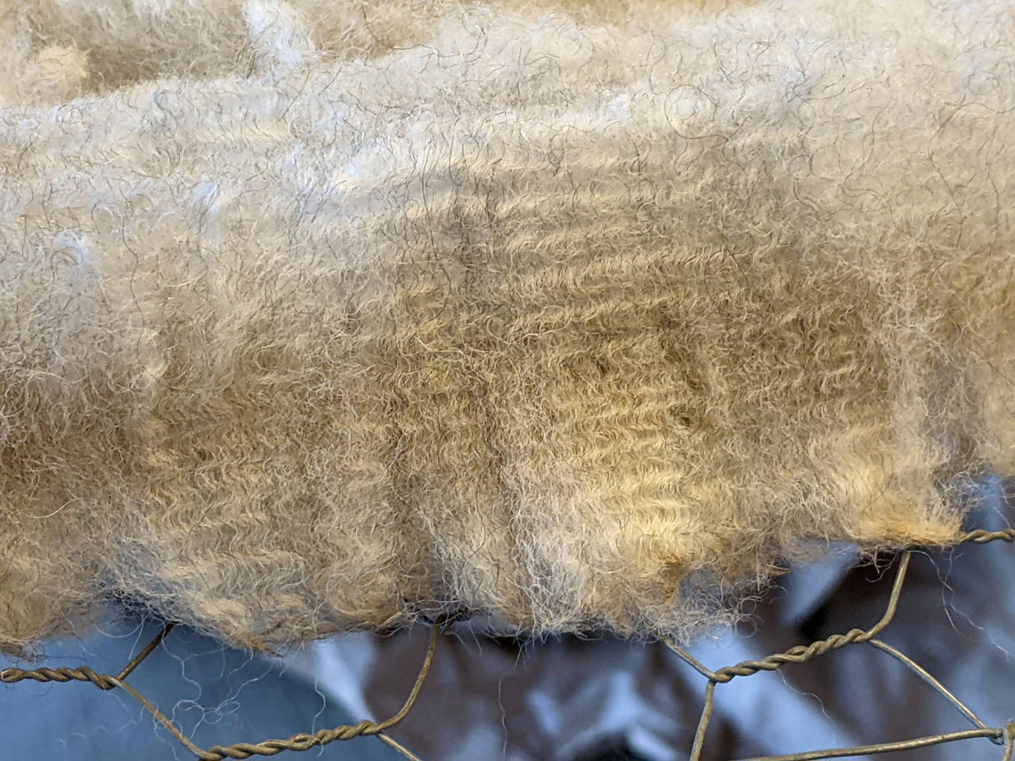 Gorgeous light grey alpaca fleece