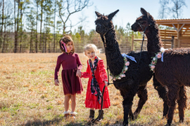 Hardly Farm LLC Logo