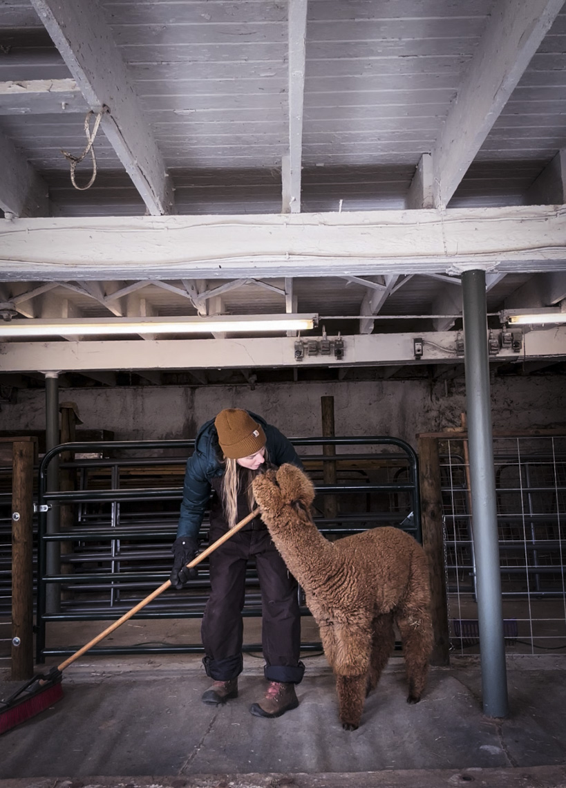 Chores & Huckleberry Kisses