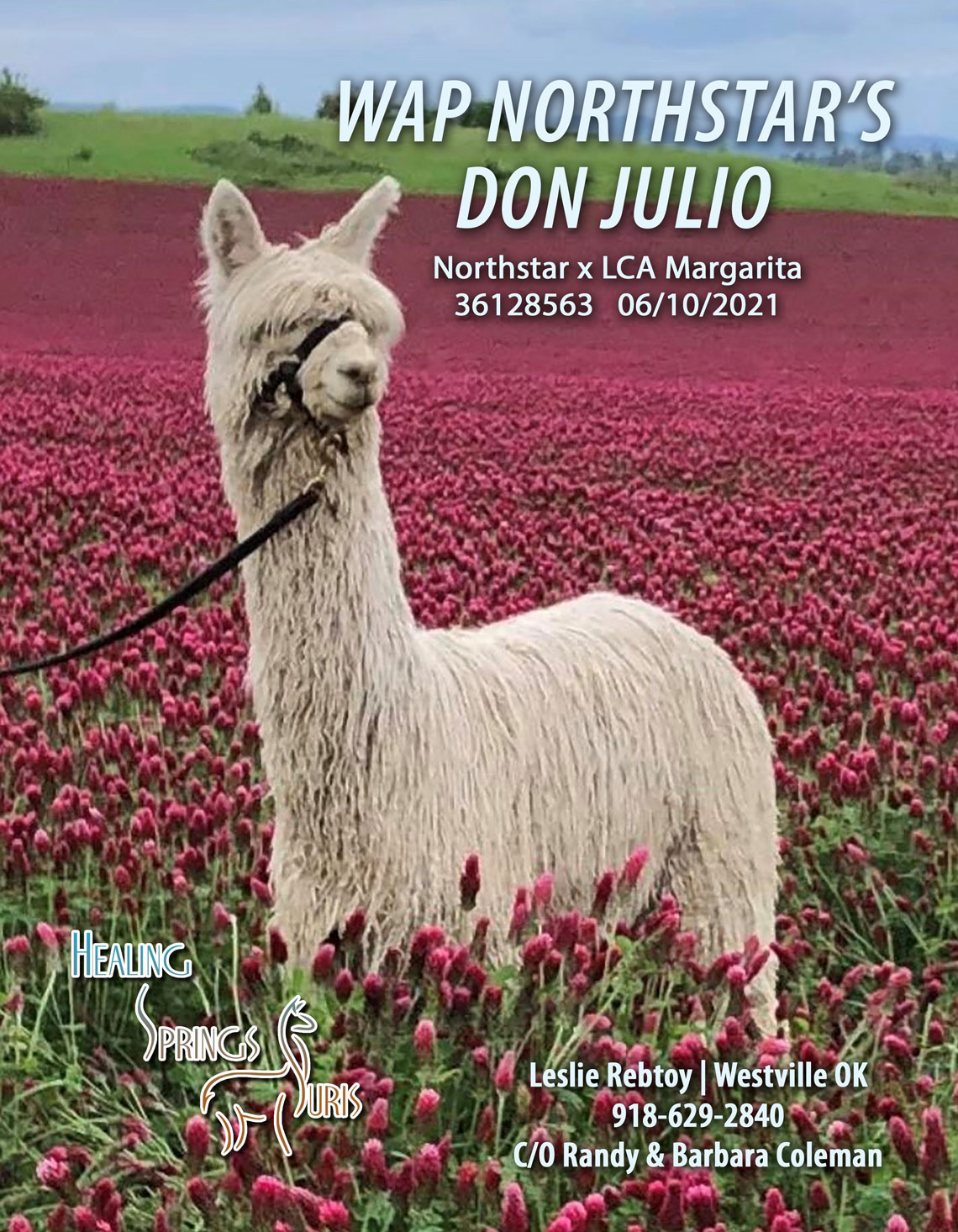 Healing Springs Suris