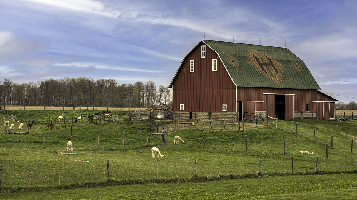 Heritage Farm Alpacas & Events, LLC