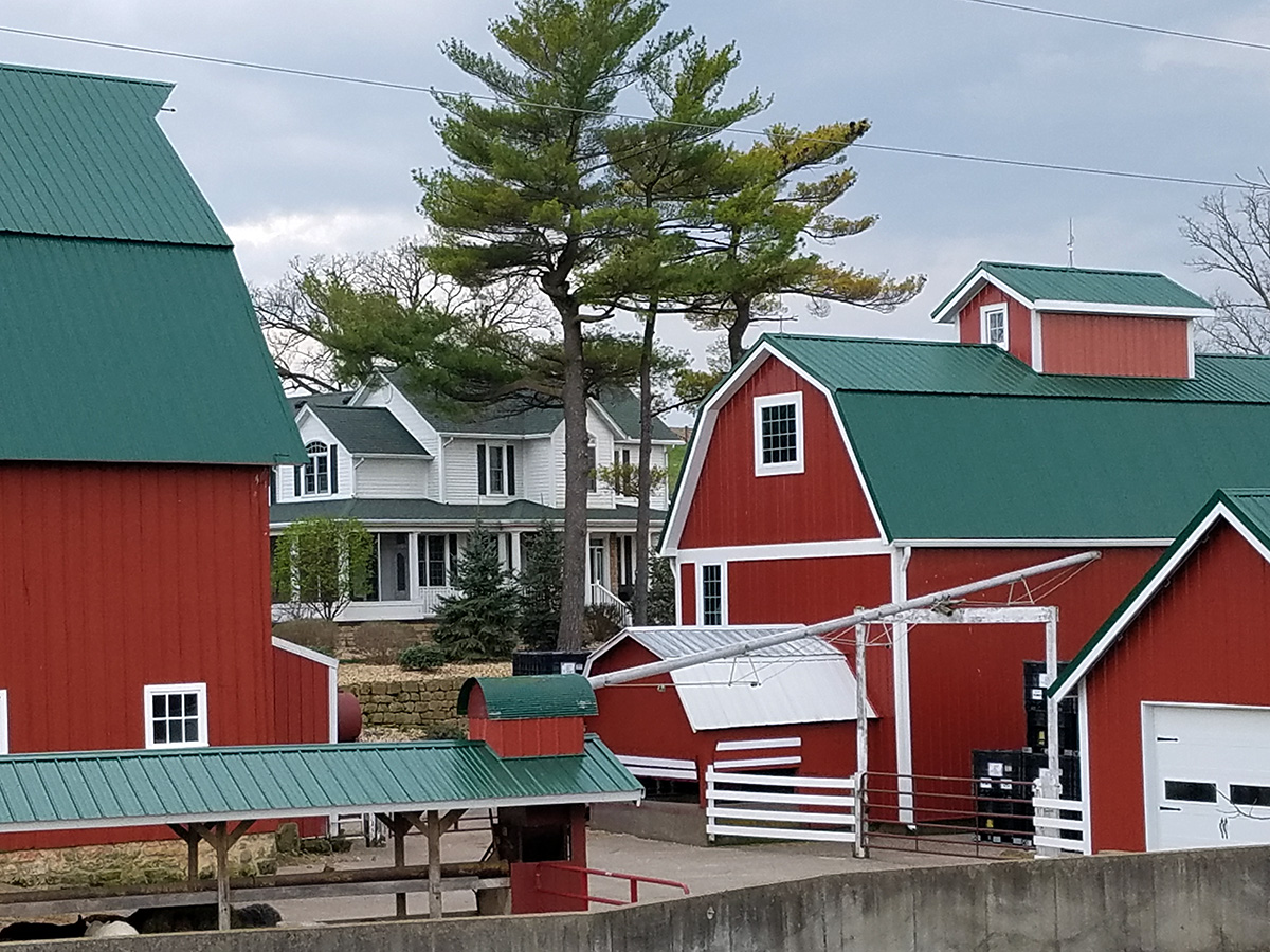 Irish Meadows Alpaca Farm