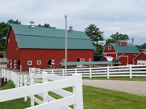 Irish Meadows Alpaca Farm Logo