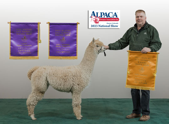 IRISH MEADOWS' Honor