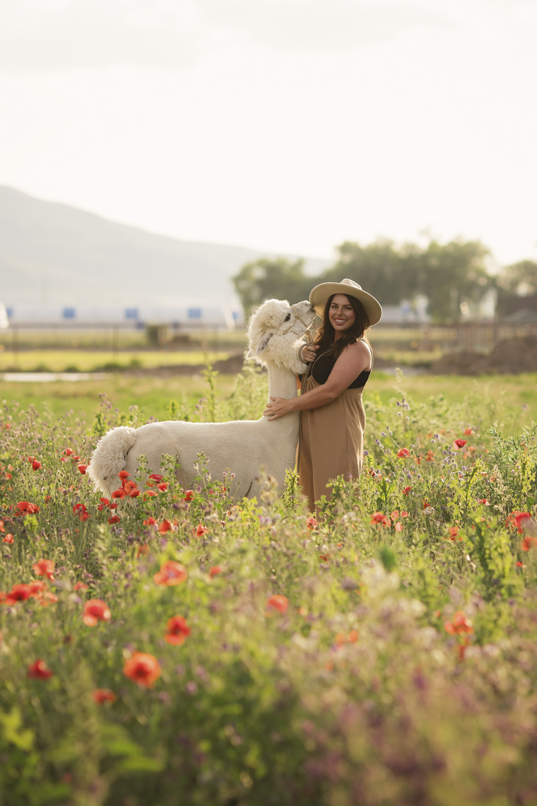 Summertime in the poppies