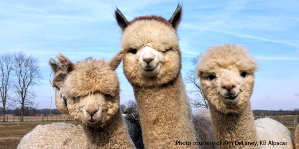 2021: The Year of the Registration