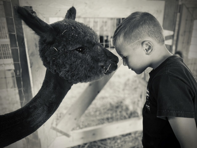 Cocobean getting a good sniff in