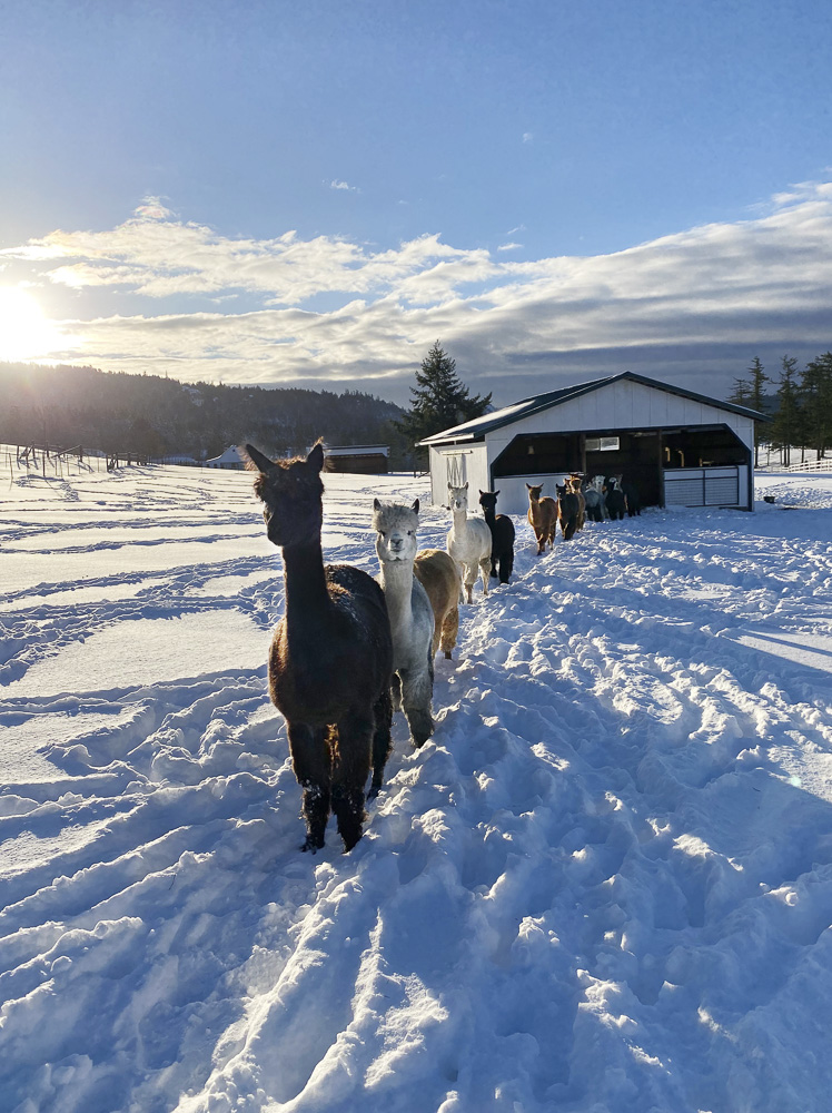 Morning after the storm