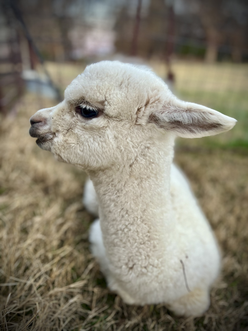 This is my photogenic side.