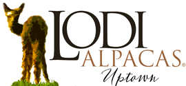 Lodi Alpacas Uptown, LLC Logo