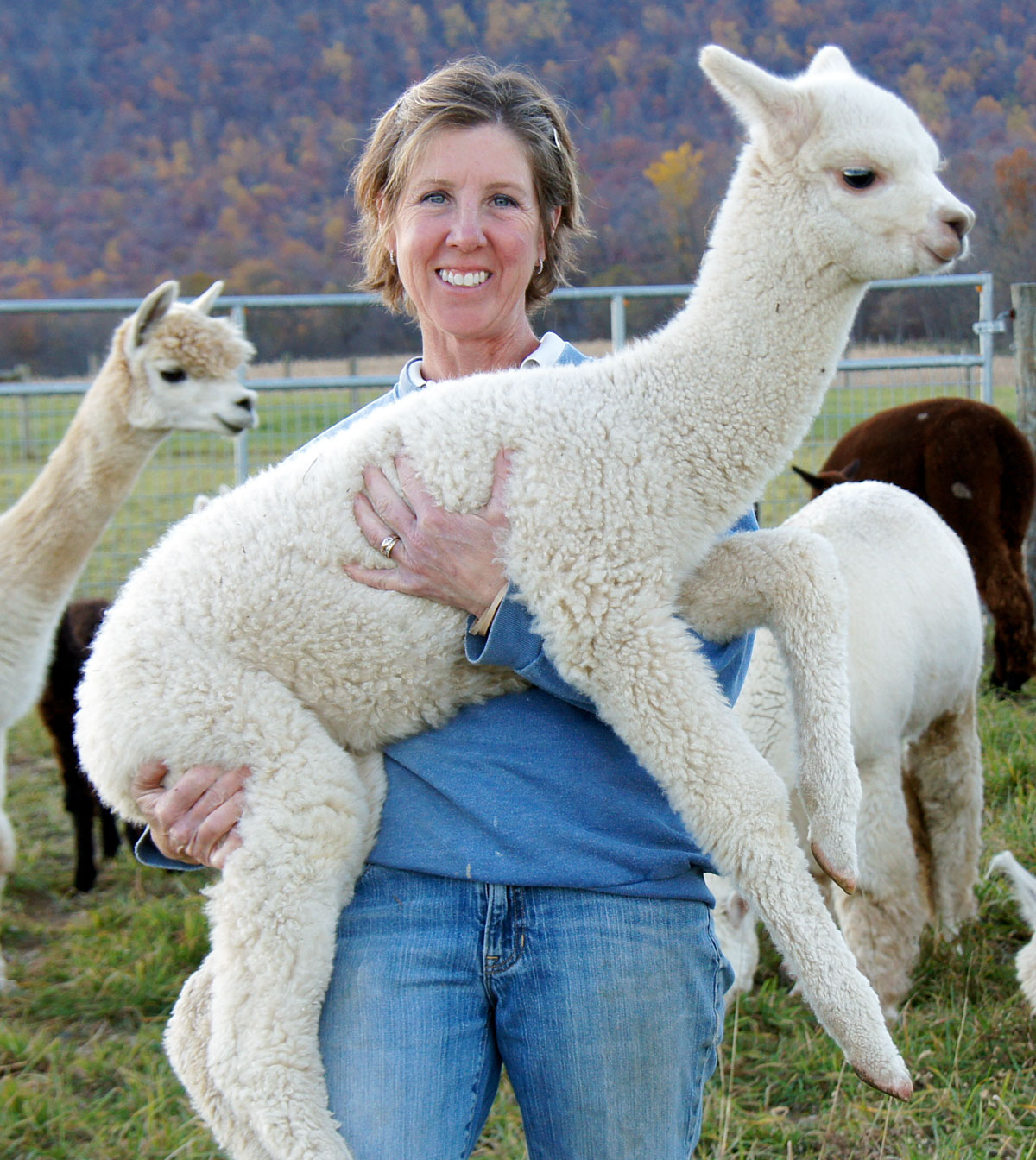 Sarah Donahoe holding an alpaca